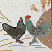 BLACK SKY FALLING